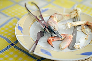 Yellow dinner plate with tasty lobster claw and