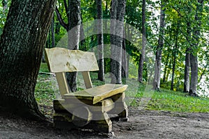 Yellow and dirty bench in the park between tree trunks