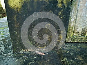 Yellow dirty and humid and old concrete wall texture background