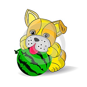 Yellow dog playing with watermelon, cartoon on white background.