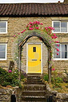 Yellow door, house pink roses