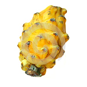 Yellow dragon fruit