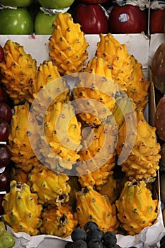Yellow Dragon Fruit or Pitaya