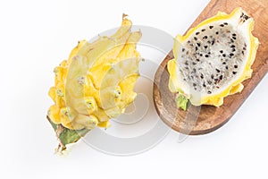 Yellow dragon fruit - Selenicereus megalanthus