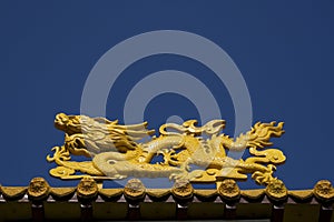 Yellow Dragon at Temple