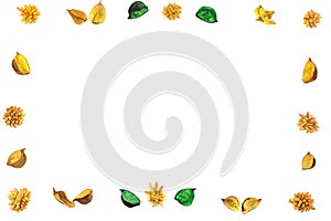 Yellow dried flowers, plants border frame on white background. Top view, flat lay.