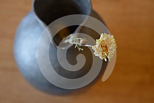 Yellow dry aster flower in a metal vase - top view - concept of fragility