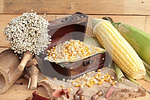 Yellow dry corn grain and corn fresh.