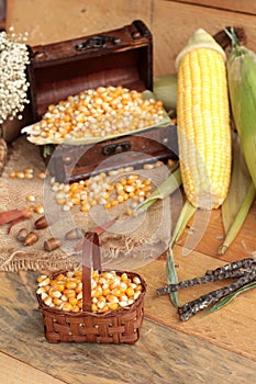 Yellow dry corn grain and corn fresh.