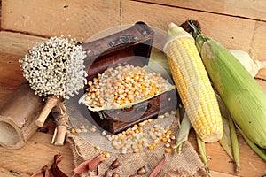 Yellow dry corn grain and corn fresh.