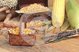 Yellow dry corn grain and corn fresh.