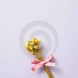 Yellow dry flower bouquet on purple background