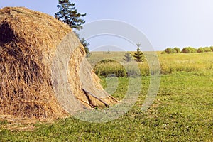 Yellow dry haystack on agriculture field landscape background