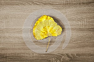 Yellow dry leaf on brown wooden texture background.