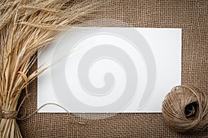 Yellow dry spikelets of wheat on burlap and white space for text. Still life close-up. Top view