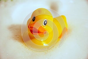 Yellow duck covered from the soap bubbles