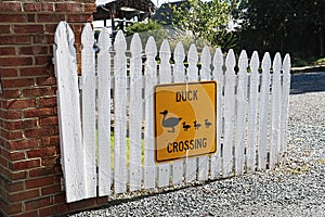 A Yellow duck crossing sign is on a white picket fence