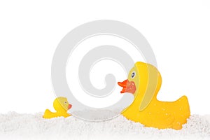 Yellow duck and ducky family and powder isolated on white