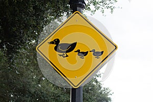 Yellow duck family crossing sign