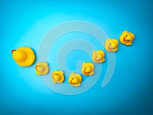 A yellow duck with its chicks