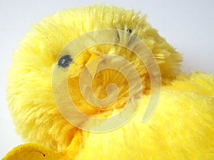 Yellow duck toy