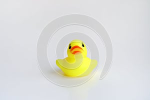 Yellow duck toy on white background. Business, Leadership, Teamwork or Friendship Concept