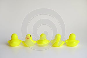 Yellow duck toy on white background. Business, Leadership, Teamwork or Friendship Concept