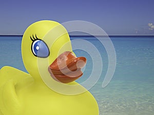 Yellow duck on vacation