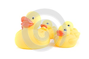 Yellow ducks