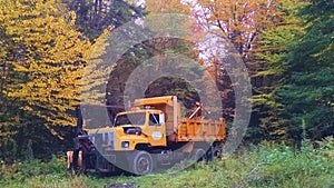 Yellow dumptruck sits idle under autumn leaves