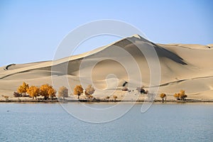 Yellow dune blue sky in autumn by Lake in Taklamakan Desert
