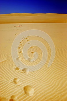 Yellow dune and footprints