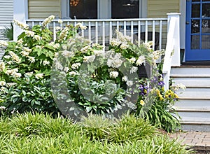 Yellow Duplex with Colorful Lanscaping