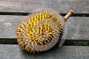 Yellow Durian Fruit on an Old Wooden Bench in Sarawak Borneo