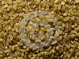 Yellow durum wheats top view macro photography