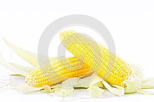 Yellow ear of sweet corn on cobs kernels or grains of ripe corn on white background vegetable isolated