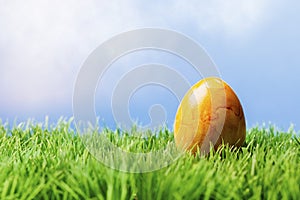 Yellow easter egg in grass, blue background