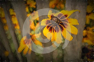 Yellow Echinacea flowers painting