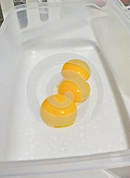 Yellow egg yolks separated from the egg whites