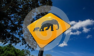 Yellow elephant warning sign next to the road under the blue sky