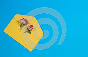 Yellow envelope and rose flowers on blue background, top view