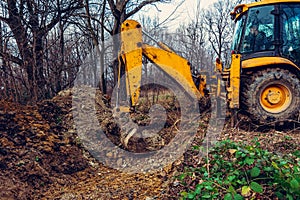 A yellow excavator works on the forest clearing and digs soil