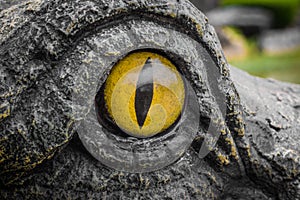 Yellow eyes of crocodiles.