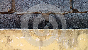 Yellow faded wall and concrete brick wall as background.