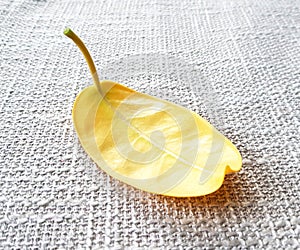 Yellow fall leave on table cloth. Still life. Clean composition.