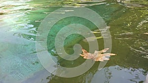 A yellow fallen leaf floats on the surface of the water. Water is possible pool, fountain, river, lake. Autumn time and abstract