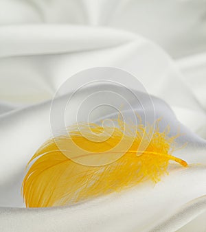 Yellow feather