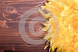 Yellow feather boa on a brown board left space for text