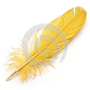 Yellow feather isolated on white background