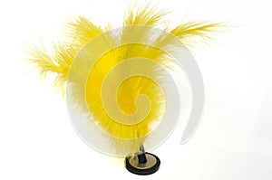 A yellow feathered capteh